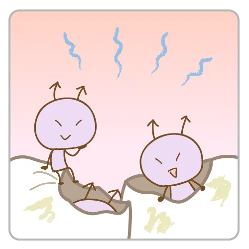 虫歯治療